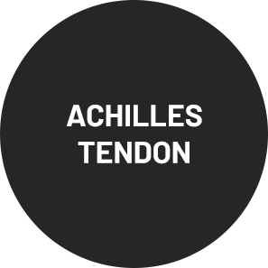 ACHILLES TENDON